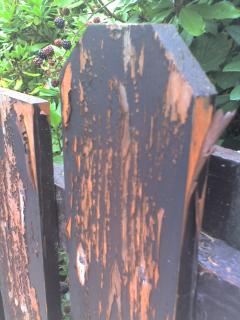a photo of paint peeling from a fence